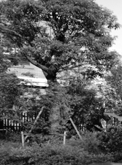 鸡西注册公司